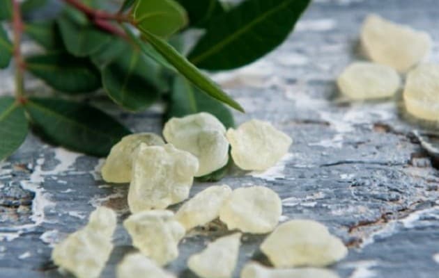 Chios GMGA Masticha surová malásáček 10 g - náhled 3