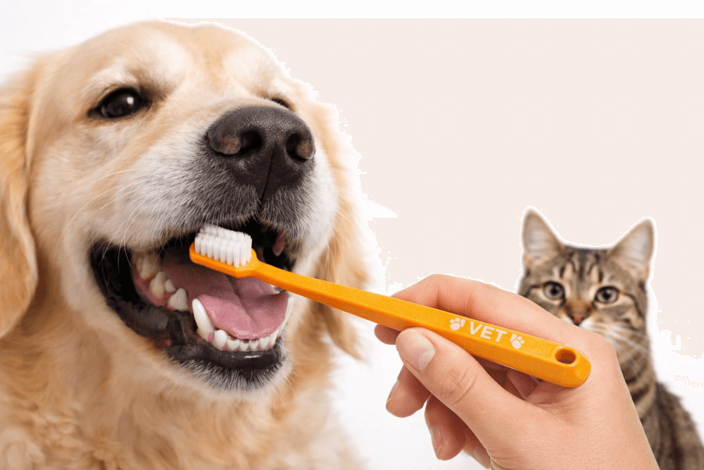 HERBADENT VET Professional Floss zubní kartáček pro psy a kočky (blistr) - náhled 4