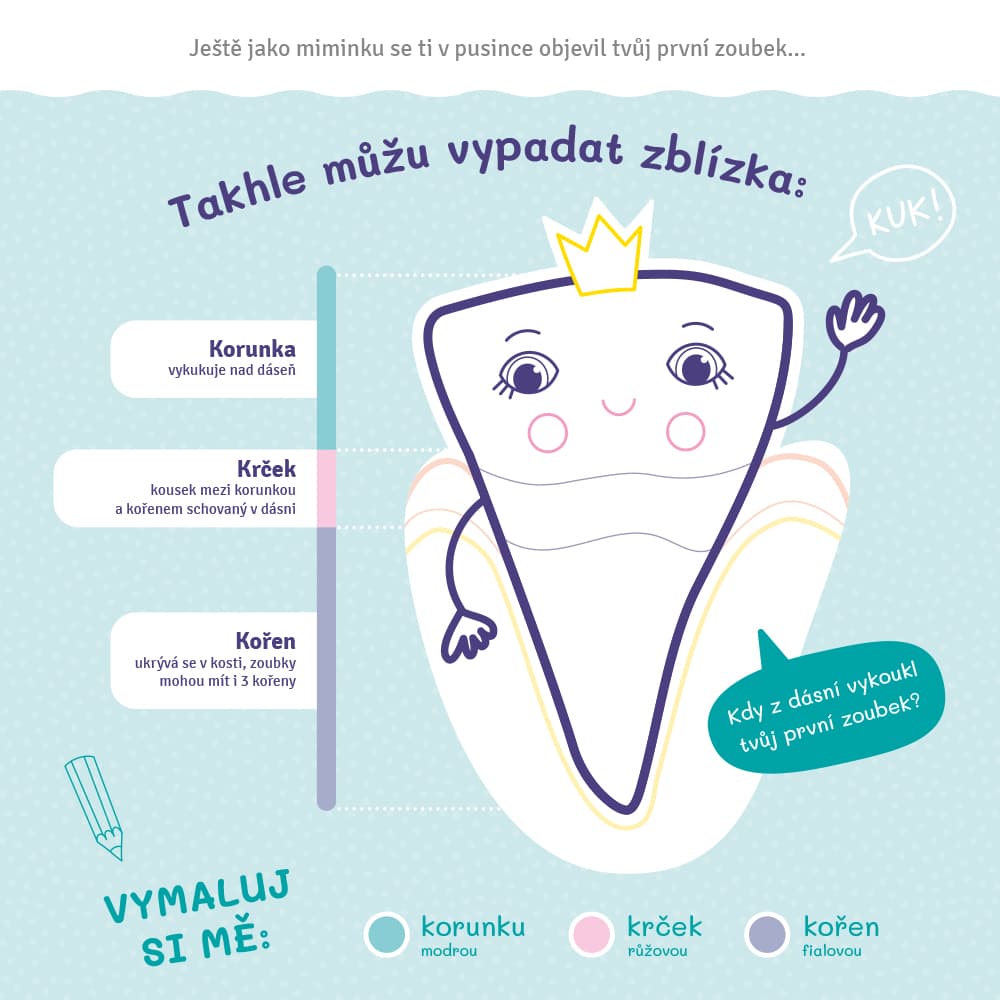 Motivační sešit plný aktivit - Moje mléčné zoubky - náhled 2
