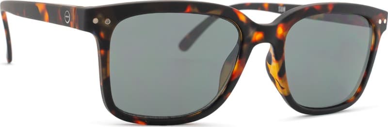 Izipizi Sun #L Tortoise