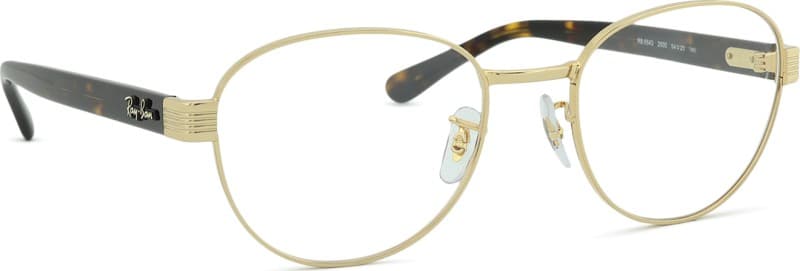 Ray-Ban 0RX6543 2500