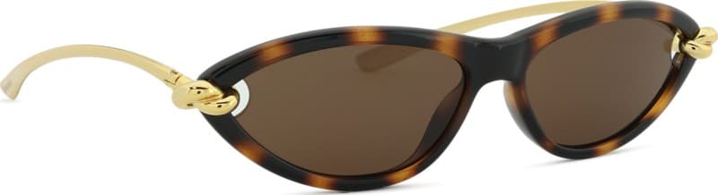 Bottega Veneta BV1390S 002 56